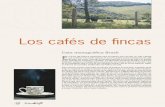 Los cafés de fi ncas - baristachristian.com filemayor consumo per capita de café del mundo. De hecho, el café forma parte de la historia económica y social de este país desde