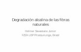 Degradación alcalina de las fibras naturalespersonales.upv.es/~vamigo/Holmer/06-degradacion/degradacion fibras… · com fibras de malva • Porosidade • Espessuras até 100 m