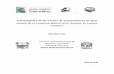Vulnerabilidad de las fuentes de abastecimiento de agua ...mariaperevochtchikova.colmex.mx/pdfs/Informes/2009-Vulnerabilidad... · El proyecto: Vulnerabilidad de las fuentes de abastecimiento