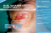 PIE DIABÉTICO Artículo Original Valoración vascular ... · Pie Diabético Digital, ... de la isquemia en los pacientes diabéticos que no experimentan una curación adecuada de