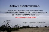 AGUA Y BIODIVERSIDAD - Ministerio del Ambiente | … · 2017-06-03 · CONSERVACION Y MANEJO DE LA BIODIVERSIDAD DE LOS ECOSISTEMAS DE LOMAS ... Diversidad Biológica en las lomas