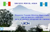 Proyecto Tacaná México-Guatemala, una propuesta … marzo/sustainable/proyect… · zConservación de suelos y aguas en combinación con agricultura orgánica. zRescate e implementación