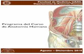 Programa del Curso de Anatomía Humana - … · Dr. Antonio Sánchez Uresti Médico Cirujano y Partero con Maestría en Ingeniería Biomédica. Profesor del curso de Anatomía Humana