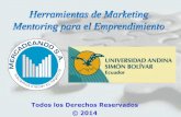 Herramientas de Marketing Mentoring para el …portal.uasb.edu.ec/UserFiles/385/File/XF Fernando Zelada.pdf · CONTABILIDAD ESCENARIO TRADICIONAL DEL MENTORING A EMPRENDEDORES . ...