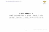 CAPITULO 4 DIAGNOSTICO DEL AREA DE … · Tucumán ofrece características distintivas generales y comunes con el sector CentroNorte - ... en los faldeos orientales de la sierra del