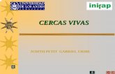 CERCAS VIVAS - webdelprofesor.ula.vewebdelprofesor.ula.ve/forestal/jcpetita/materias/agroforesteria/... · Marañón (Merey) Spondias purpurea Anacardium occidentale 101010. Propósito