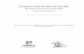 Gobierno del Estado de Puebla - ordenjuridico.gob.mxordenjuridico.gob.mx/Documentos/Estatal/Puebla/wo96800.pdf · estructura orgánica aprobada, los manuales de organización, los