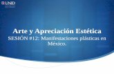 Arte y Aprecición Estética - moodle2.unid.edu.mxmoodle2.unid.edu.mx/dts_cursos_mdl/lic/DGD/AAE/S12/AAE12_Visual.… · Pero, ¿el pueblo mexicano tiene una cultura mexicana?, ¿una