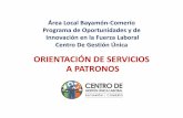 AREA LOCAL BAYAMÓN-COMERIO PROGRAMA DE …sbdonline2.net/wioa/wp-content/uploads/2017/06/SE... · demandas, en ocupaciones que requieran destrezas especificas ... oferta y demanda.