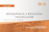 BIOQUÍMICA Y BIOLOGÍA MOLECULAR - …bq.facmed.unam.mx/files/Programa-Agosto-2018.pdf · • Respeto y tolerancia. ... apegarse en todas sus actividades al rigor académico en la