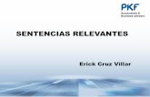 SENTENCIAS RELEVANTES - PKF Mexico | …pkfmexico.com/media/10030454/sentencias-relevantes-erick-cruz... · del Servicio de Administración Tributaria, de acuerdo con las reglas ...