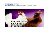 GUIA DE MANEJO PONEDORAS - avicolametrenco.clavicolametrenco.cl/data/documents/Manual-Aves.pdf · Pero la gallina debe poseer la capacidad de resistir y de responder favorablemente