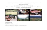 Plan de manejo Villa Esclante - IACATAS A.C.iacatas.org.mx/documentos/OTC_documentos/OTC_santa_clara.pdfOrdenamiento Territorio Comunidad Indígena de Villa Escalante Índice de cuadros: