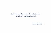 Los Humedales un Ecosistema de Alta Productividadpraderasypasturas.com/.../praderas_y_pasturas/2012/14-Humedales.pdf · grupo de ecosistemas: pantanos y marismas, lagos y ríos, pastizales