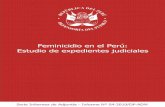 Feminicidio en el Perú: Estudio de expedientes judiciales · Feminicidio en el Perú: Estudio de expedientes judiciales 5 Índice Presentación i. Marco jurÍdico de Protección