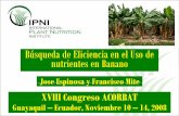 Búsqueda de la eficiente de nutrientes en banano 2nla.ipni.net/ipniweb/region/nla.nsf/0... · Búsqueda de Eficiencia en el Uso de nutrientes en Banano Jose Espinosa y Francisco
