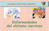 SISTEMA NERVIOSO HUMANO - I.E.S "POETA …iespoetaclaudio.centros.educa.jcyl.es/sitio/upload/sist_nervioso... · La epilepsia está provocada por anormalidades en la actividad eléctrica
