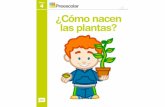 Cómo nacen las plantas PDF - ibooks.aula24horas.comibooks.aula24horas.com/downloads/123/pdf/Comonacenlasplantas .pdf · Hola amiguito, ¿sabes cómo nacen las plantas? En este iBook