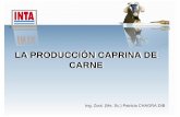 LA PRODUCCIÓN CAPRINA DE CARNE - OVINOS-CAPRINOS - La Produccion Caprina de Carne.pdf · Existencias de Caprinos en el Mundo 0 100 200 300 400 500 600 700 800 900 ... Explotación