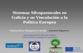 Sistemas Silvopastorales en Galicia y su Vinculación a la ... · Riparian Buffer Strips CERCA DE 20 MILLONES DE HECTAREAS (GRANJAS FORESTALES) ... en la rotación de cultivos de