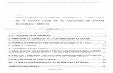 Nuevas Normas Jurídicas aplicables a la actuación …policialocalhuesca.es/archivos/aragon/documento1.pdf · FVMP FVMP FVMP FVMP Curso AD02/2004 Nuevas Normas Jurídicas aplicables