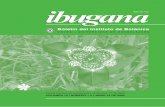 Boletín del Instituto de Botánicaibugana.cucba.udg.mx/pdf/ibugana_10(1-2).pdf · Villarreal de Puga Contenido Rareza y ... ANA LUISA SANTIAGO PÉREZ, ... Conservación de la Biodiversidad,