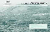Panorama actual de CUNDINAMARCAhistorico.derechoshumanos.gov.co/Observatorio/Publicaciones/... · BOGOTA, DICIEMBRE 2001 Panorama actual de Vista panorámica de Villeta, Cundinamarca
