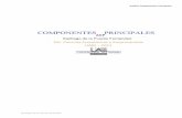 ANÁLISIS DE COMPONENTES PRINCIPALES (ACP) lineal/ACP.pdf · Análisis Componentes Principales Santiago de la Fuente Fernández ...