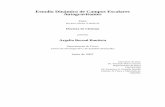 Estudio Dinamico de Campos Escalares´ Autogravitantespelusa.fis.cinvestav.mx/tmatos/CV/3_RecursosH/Dr/Argelia_Bernal.pdf · 1. Introduccion´ 11 1.1. ¿Campos Escalares Fundamentales