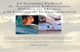 El Instituto Federal de Acceso a la Información Pública …global.asc.upenn.edu/fileLibrary/PDFs/mex_report_fiai06_espanol.pdf · El Instituto Federal de Acceso a la Información