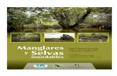 Manual manglares selvas inundables - …observatorioirsb.org/web/wp-content/uploads/2015/11/manglares-y... · La protección de las plantas de los humedales. ¿Qué animales viven