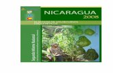 NICARAGUA - FAO Login · 1699 géneros, que incluyen helechos, gimnospermas y angiospermas distribuidas en 225 familias. No se conocen datos exactos del número de plantas útiles