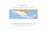Evaluación del ahorro a nivel nacional: México - CGAP · Patrones de ahorro en la Ciudad de México ... el papel del Estado y el entorno de ... con la presentación de sugerencias