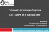 Producción Agropecuaria Argentina En el camino de la ... 3 - Ramiro Costa Bolsa UE MS... · Bolsa de Cereales Fuentes de biomasa Unidad Volumen físico 1. Dendrocombustibles ...