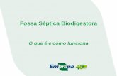 Fossa Séptica Biodigestora - …saneamento.cnpdia.embrapa.br/downloads/Fossa_Séptica_Biodigestor… · sumidouro ou vala de infiltração •Tempo de Retenção Hidráulica de 1