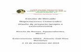 Estudio de Mercado Negociaciones Comerciales …extensionismo.sagarpa.gob.mx/sermexicano/files/servicios/1... · establo de Guillermina Patricia 12:00 hrs Manejo y aplicación de