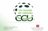 Felipe Arancibia S. Deputy CFO - larrainvial.com · CCU tiene una participación de mercado de 53,1% en la categoría de néctares embotellados Fuente de CPC: Estimados 2012 de CCU.