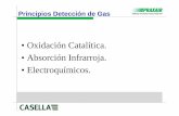 Principios de detección - ucm.es de... · Principios Detección de Gas (Detectores Catalíticos) ... presión barométrica. ... La medida de la variación de la resistencia eléctrica