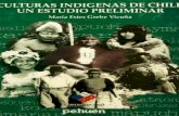 I 'L · familia extensa mapuche, en la diniimica social de sus relaciones humanas y -sobre todo- en las relaciones profundas con la naturaleza y lo sobrenatural en 10s contextos imponentes