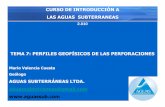 TEMA 7: PERFILES GEOFÍSICOS DE LAS …aguassub.com/aguassubpdf/TEMA 7-GEOFISICA_DE_PERFORACIONE… · Interpretación de los Perfiles 7. La Identificación de los Acuíferos 8. Herramientas