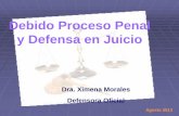 Debido Proceso Penal y Defensa en Juiciofiles.catedra-procesal-penal.webnode.es/200000036... · (CIDH, Caso Castillo Petruzzi, y otros, Perú, sentencia del 30 de mayo de 1999). La