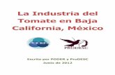 La Industria del Tomate en Baja California, México · Andrew & Williamson es una empresa de ... Whole Foods y Albertsons. ... De acuerdo con la Agricultural Market