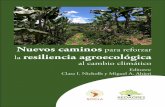 Nuevos caminos para reforzar la resiliencia … · Nuevos caminos para reforzar la resiliencia agroecológica al cambio climático. ... utilizando una diversidad de estrategias para