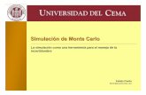 Simulación de Monte Carlo - ucema.edu.arffiorito/Workshop_Simulacion_CEMA_2009... · la simulación está puesto en conducir experimentos con el modelo y analizar ... el hecho de