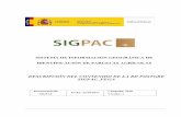 SISTEMA DE INFORMACIÓN GEOGRÁFICA DE IDENTIFICACIÓN DE ...pagina.jccm.es/agricul/sigpac_datos/descripcion_contenido_BD... · las tablas SIGPAC de la Base de Datos PostGreSQL/PostGis
