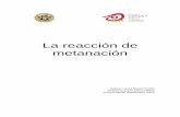 La reacción de metanaciónzaguan.unizar.es/record/5496/files/TAZ-PFC-2010-429.pdf · 2014-11-28 · síntesis de amoníaco ... 2.5 producciÓn de gas natural sintÉtico a partir