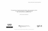 Tratados internacionales de protección a la inversión y ... · Documento de proyecto Comisión Económica para América Latina y el Caribe (CEPAL) Tratados internacionales de protección