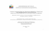 CARACTERIZACIÓN DE MICRODOMINIOS LIPÍDICOS EN MEMBRANAS APICALES DE ...repositorio.uchile.cl/tesis/uchile/2006/godoy_v/sources/godoy_v.pdf · Estandarización del protocolo para