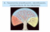 8.- Taxonomía (clasificación, identificación, … · ribosomal de 16S; d) análisis de fragmentos de restricción; e) identificación de genes específicos mediante la reacción