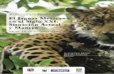El Jaguar Mexicano en el Siglo XXI: Situación Actual · Entre las miles de especie de plan-tas y animales de México que se encuentran en peligro de extinción el jaguar es, sin